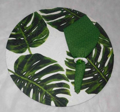 Souplast com Estampa Costela de Adão - Image 2